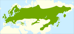 Mapa de distribución del abedul común