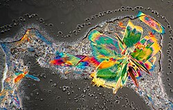 Cristales de lactosa bajo luz polarizada