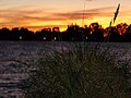 Detalle del fondo y entorno del lago