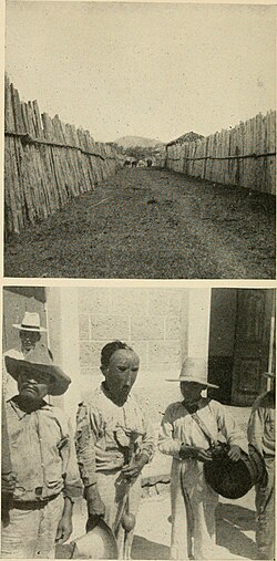 Participante con máscara tradicional de ayote durante las fiestas patronales de Intibucá en 1948.
