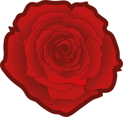 Ilustración de una rosa roja, símbolo internacional de la socialdemocracia.