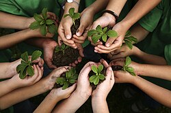 Niños interactuando en actividades educativas al aire libre
