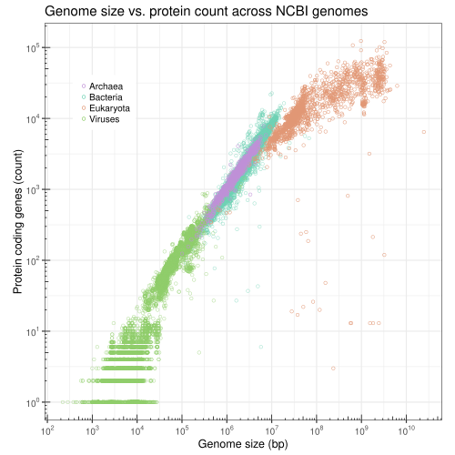 Gráfico logarítmico del número de proteínas anotadas en función del tamaño del genoma