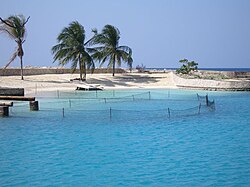 Playa y turismo en Jamaica