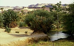 Oasis de Bilma en Níger