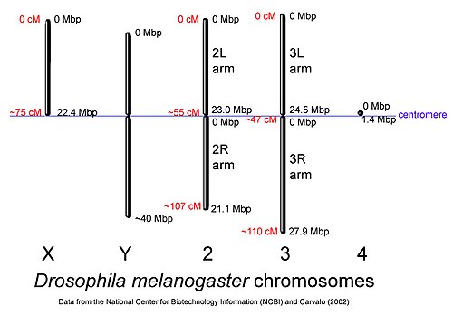 Mapa de cromosomas