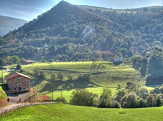 Paisaje verde del País Vasco con colinas y vegetación densa