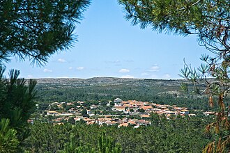 Paisaje rural con colinas y vegetación en la región central de Portugal