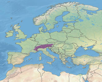 Representación cartográfica y datos clave del bosque de los Alpes