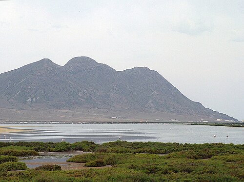Flamencos en las Salinas de Cabo de Gata