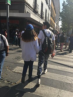 Paso de cebra pintado sobre el asfalto en el centro de Ciudad de México.