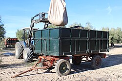 Tractor agrícola realizando una descarga de aceitunas