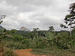 Paisaje boscoso circundante en la región de Djibloho