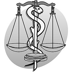 Esquema sobre principios éticos que guían al médico al tomar una decisión.