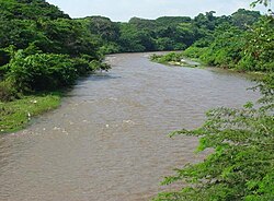 Vegetación exuberante en las riberas del río Ranchería