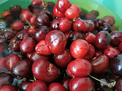 Frutos de especies botánicas similares a la cereza