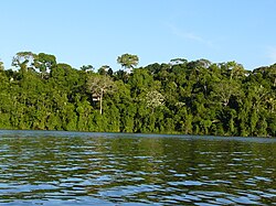 Paisaje selvático representativo del departamento de Madre de Dios