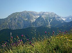 Cima delle Murelle en verano