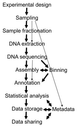 Diagrama de flujo representativo de un proyecto metagenómico típico.
