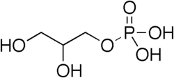 Molécula de glicerol-3-fosfato