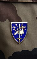 Insignia de pecho del Eurocuerpo