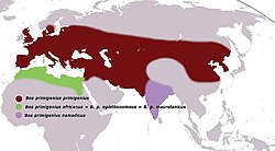 Mapa de distribución de los uros