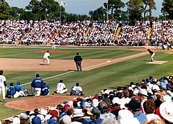 Juego de la Grapefruit League