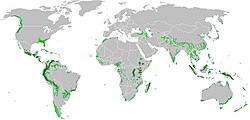 Distribución de los bosques nubosos, laurisilvas y enclaves de hábitat de nieblas