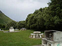 Ejemplares de la subespecie ilex junto al mar Cantábrico