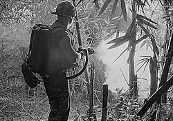 Uso del lanzallamas en Vietnam