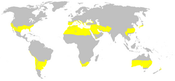 Extensión de las zonas con clima subtropical marcadas en color amarillo