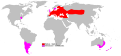 Mapa detallado con la distribución nativa e introducida de la liebre europea