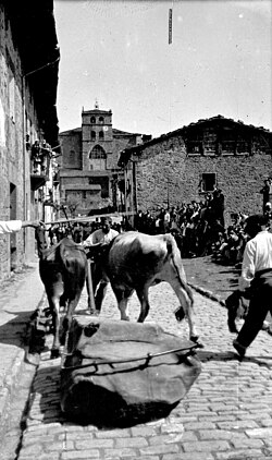 Prueba de arrastre en Elgueta en 1944.
