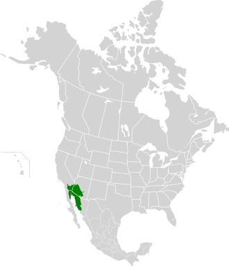 Mapa de ubicación del desierto de Sonora en Norteamérica