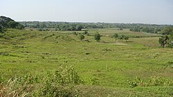 Paisaje de herbazal en Filipinas
