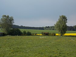 Detalle geológico y natural del terreno en Gutland
