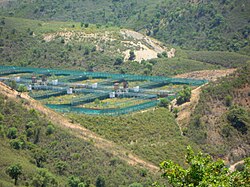Centro Nacional de Reproducción de Lince Ibérico en Silves
