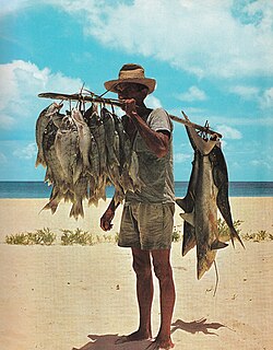 Pescador trabajando en las costas de Seychelles