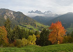 Escudo y bandera de la Provincia Autónoma de Bolzano - Tirol del Sur