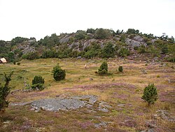 Paisaje de charneca en Portugal