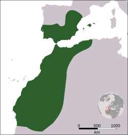 Mapa de la máxima extensión del Imperio almorávide