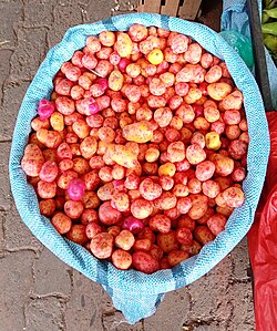 Bolsa de papalisa a la venta en el mercado campesino de Tarija, Bolivia