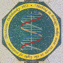Mosaico en el suelo del Jordan Hall of Science de la Universidad de Notre Dame con la cita célebre de Dobzhansky