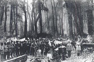 Tropas del Ejército de Chile en las ruinas de Villarrica