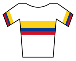Maillot de Campeón del Campeonato de Colombia de Ciclismo BMX