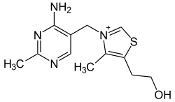 Estructura química detallada de la tiamina