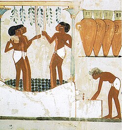 Elaboración del vino en el Antiguo Egipto, Tumba de Najt