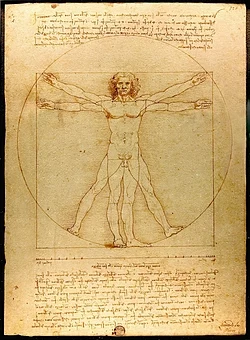 Representación del Hombre de Vitruvio
