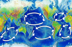 Mapa de los cinco mayores giros oceánicos principales