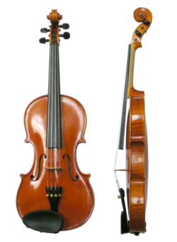 Representación de la forma general y proporciones de un violín clásico.